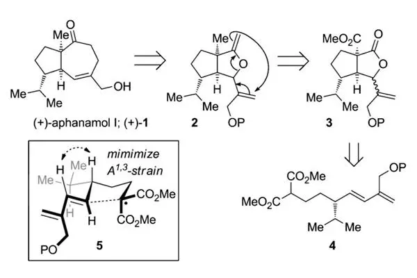 ashort synthesis of aphanamol iinboth racemic andenantiopure forms