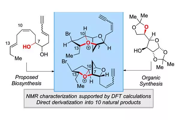 jacs oxonium
